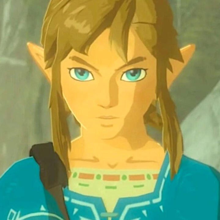 botw: link